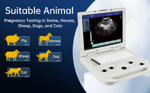 Eur Dierenarts Fabriek Prijs Dierlijk Diagnostisch Apparaat Veterinaire Apparatuur Kleur <span class=keywords><strong>Doppler</strong></span> Ultrageluid Diagnostisch Systeem Voor Dieren - Product Image 6