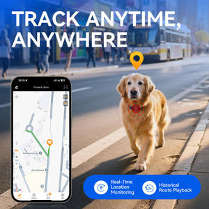 Traceur GPS 4G LTE pour animaux de compagnie, localisateur anti-perte avec rappel sonore et lumineux, compteur de pas, suivi en ligne gratuit, réseau GPRS GSM - Product Image 4