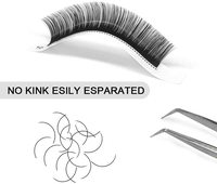 Extension de cils individuels de marque privée, fournitures en gros, éventail facile, plateaux de cils de 8 à 25 Mm C D, Extension de cils noirs mats