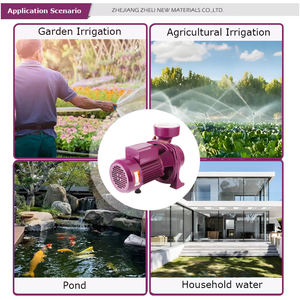 Pompe centrifuge électrique monophasée ZHELI de marque chinoise, à haute pression, à aspiration automatique, pour l'irrigation agricole, à faible coût, <span class=keywords><strong>1</strong></span>/2 CV - Product Image 4