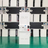 Disjoncteur PG260500 OEM 1P+N 30-60A à Déclenchement Réglable pour Systèmes Électriques Commerciaux