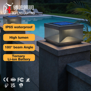 Lámpara de Poste LED para Exteriores OEM, Impermeable IP65, Acero Inoxidable 304, 1W, para Patio, Paisajes, Lugares Escénicos, Energía <span class=keywords><strong>Solar</strong></span>, Garantía de 5 Años - Product Image 1