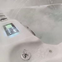 Bain à remous Whirlpool Breeze Balboa pour 3 personnes, spa extérieur en acrylique moderne de luxe, prix d'usine pour hôtel