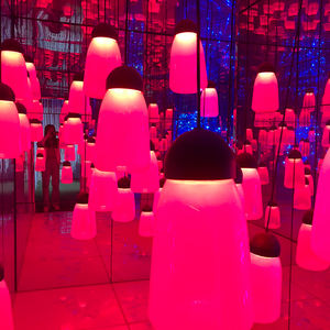 <span class=keywords><strong>Laberinto</strong></span> <span class=keywords><strong>de</strong></span> espejo interior <span class=keywords><strong>de</strong></span> atracción para adultos a la venta para paseos en parques <span class=keywords><strong>de</strong></span> atracciones y centros comerciales - Product Image 1