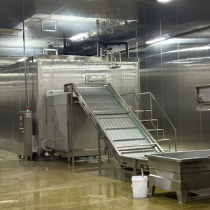 Fließbett-Gefrieranlage Kommerzieller IQF-Gefrierschrank Individuelle Schnellgefrieranlage für Obst Erdbeeren Äpfel Mangos Heidelbeeren - Product Image 6