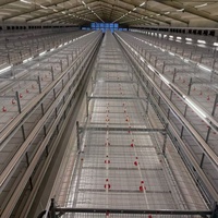 Cage à poulets HENGQI de type H entièrement automatique à 4 niveaux en acier galvanisé avec garantie de 2 ans