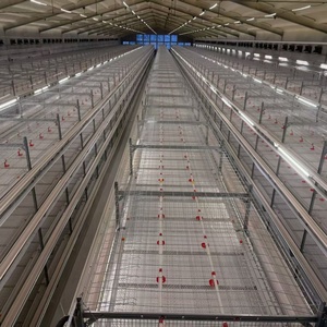 Jaula para Cría de Pollos HENGQI Nueva, Tipo H, Totalmente Automática, de 4 Niveles, de Acero Galvanizado - Product Image 6