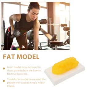 Modèle Anatomique en Plastique de Graisse Corporelle, Dispositif de Démonstration, Équipement Pédagogique Scientifique du Corps Humain, Aide à l'Enseignement Médical, Nutrition - Product Image 4