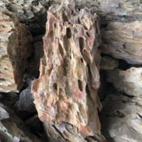Roche de pierre d'os de dragon de couleur naturelle d'aquarium d'aménagement paysager brun pour aquarium