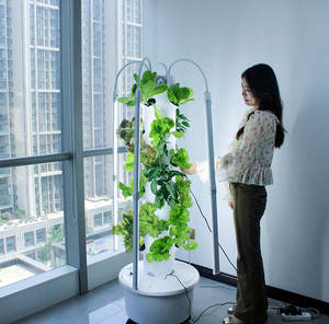 Système de culture hydroponique en gros 24 trous 5 gallons seau tour hydroponique aérophonique - Product Image 3