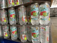 Fabricant de boissons gazeuses aromatisées aux fruits, certifiées HACCP, faibles en glucides, en canettes PET de 350 ml, avec option de marque privée