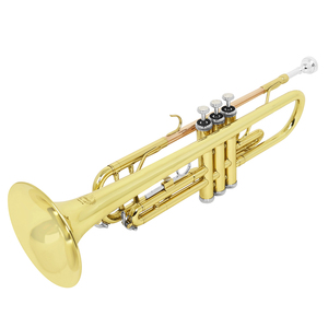 <span class=keywords><strong>Trompeta</strong></span> Bb Profesional de Latón con Acabado Dorado, Fabricada en Fábrica, con Boquilla Grande - Product Image 4