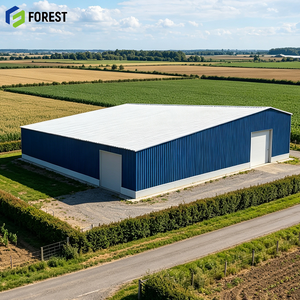 Almacén de Acero Prefabricado de Alta Capacidad de Carga, Depósito Industrial de Uso Pesado, Construcción Personalizada - Product Image 1