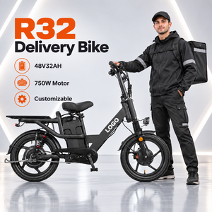 จักรยานส่งของไฟฟ้า R32 48V 750W พร้อมแบตเตอรี่ในตัวและดิสก์เบรกสำหรับใช้งานส่งของ - Product Image 1