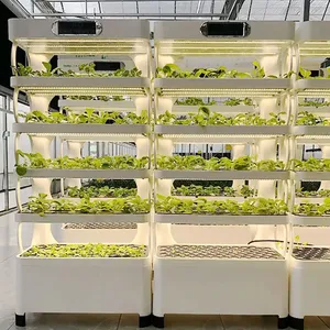 Sistemas de Cultivo Hidropónico para Interiores, Maquinaria Agrícola para Vegetales, Sistema Acuapónico para Plantas de Hoja - Product Image 5