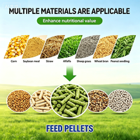 Machine à granulés d'aliments pour animaux Diesel 15HP, production 300kg/h, démarrage électrique pour élevages de poulets, canards et lapins