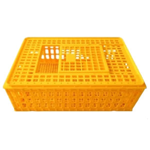 Boîte de <span class=keywords><strong>transport</strong></span> de poulet vivant <span class=keywords><strong>Cage</strong></span> de <span class=keywords><strong>transport</strong></span> de volaille en plastique pour pigeon poulet de chair poussin canard-pour Cages pour animaux - Product Image 5