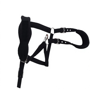 Equipo ecuestre de calidad, cabezada acolchada para caballo con doble hebilla y forro de lana, fabricante de collares para caballo en Kanpur, India. - Product Image 5