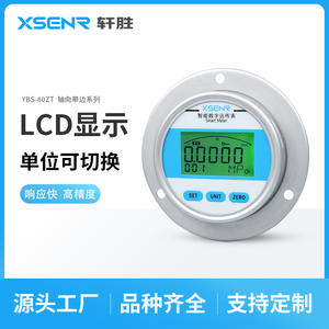 Manómetro Digital XSENR de 80 mm YBS80ZT 4-20 mA RS485 con Pantalla Remota, Instrumento de Precisión - Product Image 5