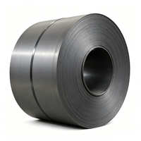 ASTM A36 A283 SAE1006 St37 S235jr Ss400 Plat Baja Karbon Rendah Hitam Dingin Gulungan (Coil) untuk Proyek Konstruksi