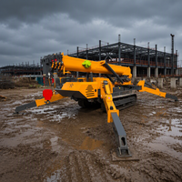 Grue araignée sur mesure CE 12 tonnes avec nacelle et flèche hydraulique pour travaux de construction en hauteur intérieure et réparation de cheminées