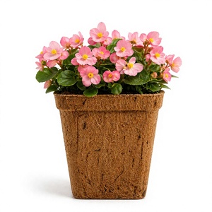 High Quality Coco Coir Pot Custom Design Eco-Friendly Flower Pot From Eco2go Vietnam - Product Image 1