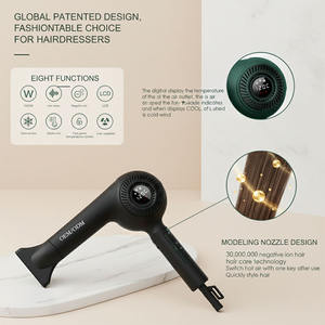 ไดร์เป่าผมเป่าลมทำงานได้อย่างยาวนานมอเตอร์ไฟฟ้ากระแสสลับ2200วัตต์ไดร์เป่าผมแบบมืออาชีพ - Product Image 2