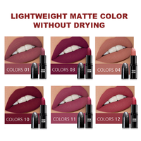 Lot de rouges à lèvres vegan longue tenue multicolores personnalisés en gros sous marque privée – Rouge à lèvres mat velours waterproof tendance