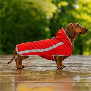 OEM ODM Dachshund Full Belly Waterproof <strong>Dog</strong> Raincoat Nylon Rain Jacket With Reflective Stripe <strong>Sausage</strong> <strong>Dog</strong> Rain <strong>Coat</strong> Wholesale - Product Image 4
