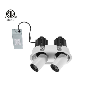 Shen Zhen-luz descendente LED gemelos, iluminación de día, CA de 120V, 220V, hecho en China, luces Strech <span class=keywords><strong>Spot</strong></span> Down, 0-10V Dim - Product Image 2