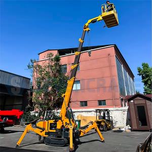 מנוף עכביש הידראולי 3 טון מסוג זחל שטח קשה סטנדרטי קנדה אוסטרליה עם שלט רחוק, מנוע, משאבה ומסב - Product Image 2