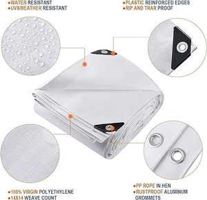 Bâche PE transparente fabriquée en usine, résistante aux <span class=keywords><strong>UV</strong></span>, pour <span class=keywords><strong>serre</strong></span>, en rouleau. Bâche PE transparente pour la protection des cerisiers. - Product Image 5