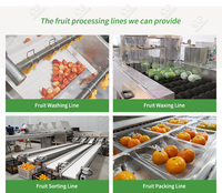 Borstelroller Perzik Pompoen Verwerking Fruit Schoonmaken Waxen En Grade Machine Voor Fruit