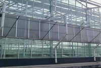 Serre agricole en verre commercial avec système hydroponique pour les légumes, projet clé en main