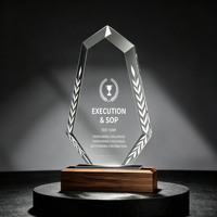 Plaques de récompense personnalisées en bois massif, trophées en verre cristal vierges, gravure laser, prix phare