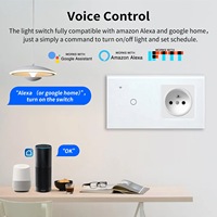 Prise murale intelligente Wi-Fi 2,4 GHz 240 V 16 A de type 157, style français, avec commande vocale, panneau en verre trempé, compatible