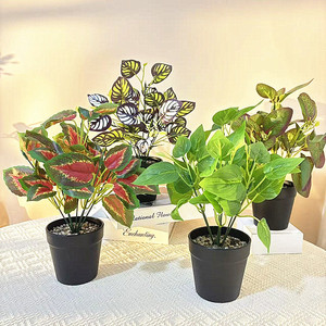 Planta Artificial Verde Bonsái de 28cm de Altura, Duradera, Decoración Interior en Maceta para Sala de Estar, Balcón, Escaparate - Product Image 1