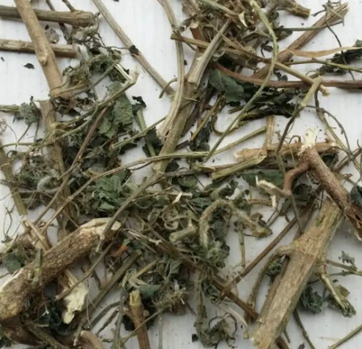 イラクサの葉を刺した中国の薬用ハーブティー乾燥イラクサの葉茶