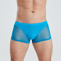 Mesh Semi Transparent Boxer Haute Élasticité U Convexe Boxers Respirant Taille Basse Sexy Hommes Boxers Sous-Vêtements
