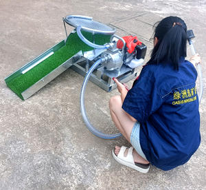 सोने की पैनिंग मशीन गैसोलीन मशीन नदी रेत मिनी शेकर के लिए छोटे सोने की वॉशिंग मशीन - Product Image 3