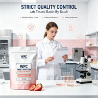 Concentré de Protéine de Lactosérum 500g Saveur Fraise, Poudre de Fitness, Fournisseur d'Usine, Étiquette Privée Personnalisée, Vente en Gros, Expédition Rapide