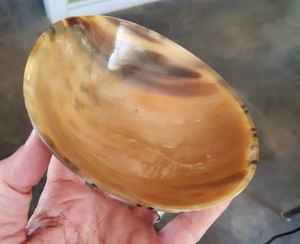 ชุดชามสำหรับเสิร์ฟทรงแตรทำมือขัดเงาสำหรับบ้านและโรงแรมแกะสลักโดยตรงจากอินเดีย - Product Image 4