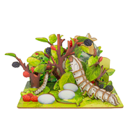 Rompecabezas 3D de Madera del Ciclo de Vida del Gusanillo de Seda de Wincent, Juguete Educativo con Diorama de Oruga, Mariposa y Tallo de Árbol de Morera, Kit de Ciencia, Regalo