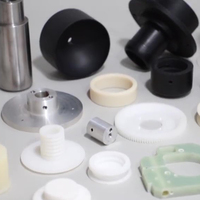 Piezas de Plástico de Ingeniería Personalizadas Resistentes al Desgaste, POM, Peek, Nylon
