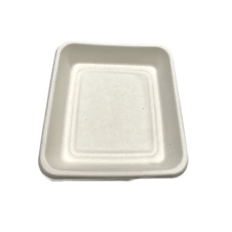 Biodegradable Pulp Frozen Food Trays Compostable Rectangular Meat Tray Sugarcane Tableware PFAS Free Bagasse Sushi Tray