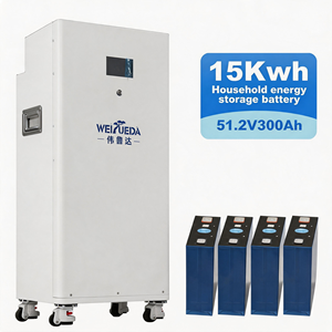 Paquete de Baterías de Litio-Ferrofosfato (LiFePO4) de 15 kWh Tipo Rodillo, 48V 300Ah, con BMS Integrado, >6000 Ciclos, para Almacenamiento de Energía Solar Doméstica, UN38.3/CE/doc - Product Image 1