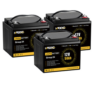 แบตเตอรี่สำรอง 12.8V 12V 100Ah ลิเธียมไอรอนฟอสเฟต แบตเตอรี่เก็บพลังงาน 6000+ รอบ แบตเตอรี่แบบกำหนดเอง - Product Image 2