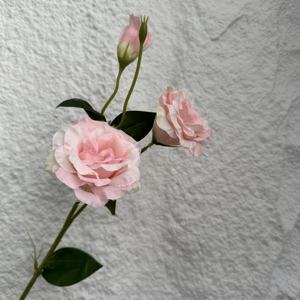 Venta al por mayor de flores artificiales de seda pura Lisianthus realista <span class=keywords><strong>Eustoma</strong></span> <span class=keywords><strong>Grandiflorum</strong></span> para la decoración de la boda del hogar - Product Image 6