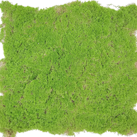 OH ARTS Vente Flash Plantes artificielles en mousse verte, tapis vert pour décoration intérieure, mousse artificielle murale pour aménagement paysager intérieur