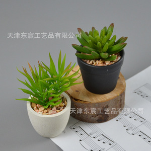 Plantes succulentes artificielles en pot miniature Dongchen Crafts, 10 cm-30 cm, en plastique, décoration intérieure et extérieure - Product Image 4